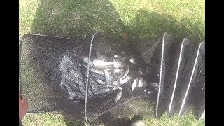 Способы ловля уклейки весной на поплавочную удочку