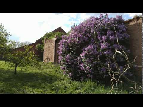 Nokia 6.1 (2018) front camera demo