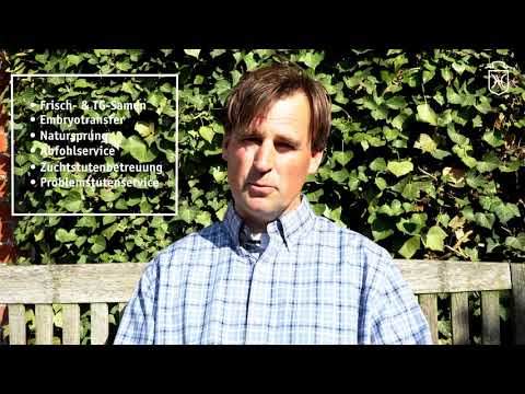 Holsteiner Hengststation - Badendorf