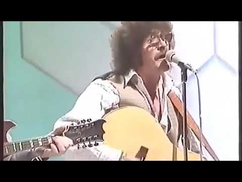 The Wolfe Tones - Streets of New York