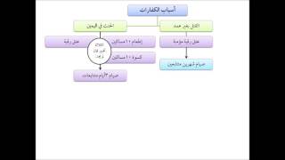 صورة فقه الجنايات من التأهيل الفقهي 20 عامر بهجت - أسباب الكفارات