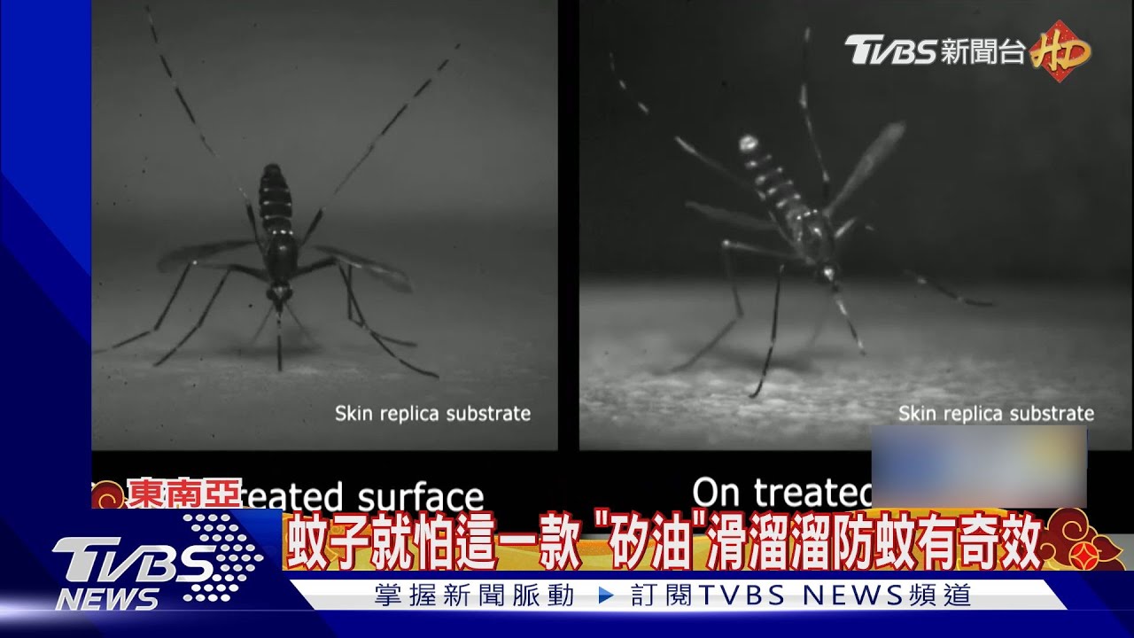 要讓蚊子「滑一跤」 日大廠防蚊叮咬靠這招