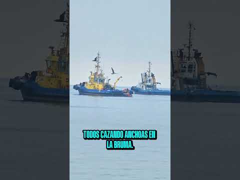 Ruta por Chile: despertando en Mejillones