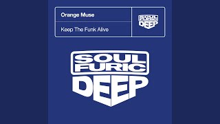 Keep The Funk Alive (Jazz-N-Groove Remix)