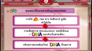 สื่อการเรียนการสอน ยีนและสารพันธุกรรม ตอนที่ 3 ม.3 วิทยาศาสตร์