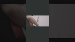 【#負け犬にアンコールはいらない】【#ヨルシカ】【#shorts】【#永久機関】 プロフよりYouTube fullへ飛べます！  #ヨルシカ  #初音ミク #anime #hatsunemiku