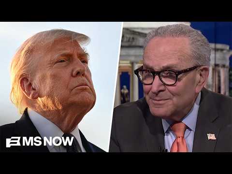 'The Art of the Surrender': As GOP senators run from questions, Schumer torches Trump's Iran deal