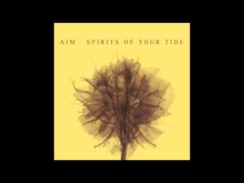 AIM - Beyond syrens and marinets