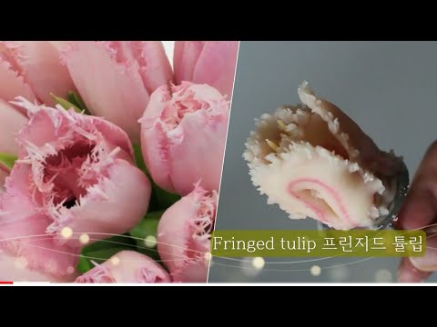 앙금플라워 프린지드튤립 Fringed tulip flower piping
