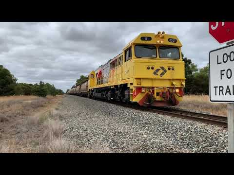 Train Horn Compilation 3!!