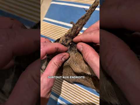 Je savais pas quoi faire, j’ai paniqué.