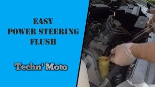 Power Steering System Fluid Flush- Do It Yourself- Super Easy- Ford Taurus | Techn' Moto