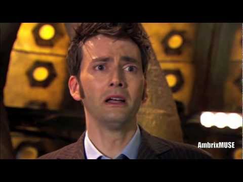 2) Cross-Pollination (Tenth Doctor Tribute)