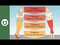 Phases Of Clinical Trials Explained