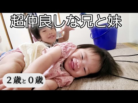 シマシダの家族