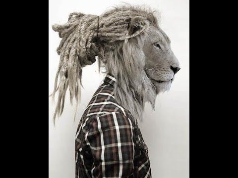 Into House Groove By Argy Kay