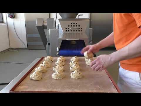 Handtmann Maschinenfabrik - SE442 Rosinenzopf