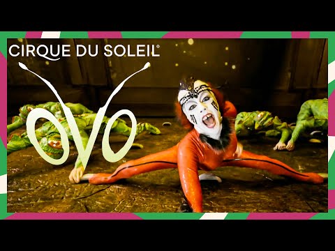 Thumbnail de video no youtube