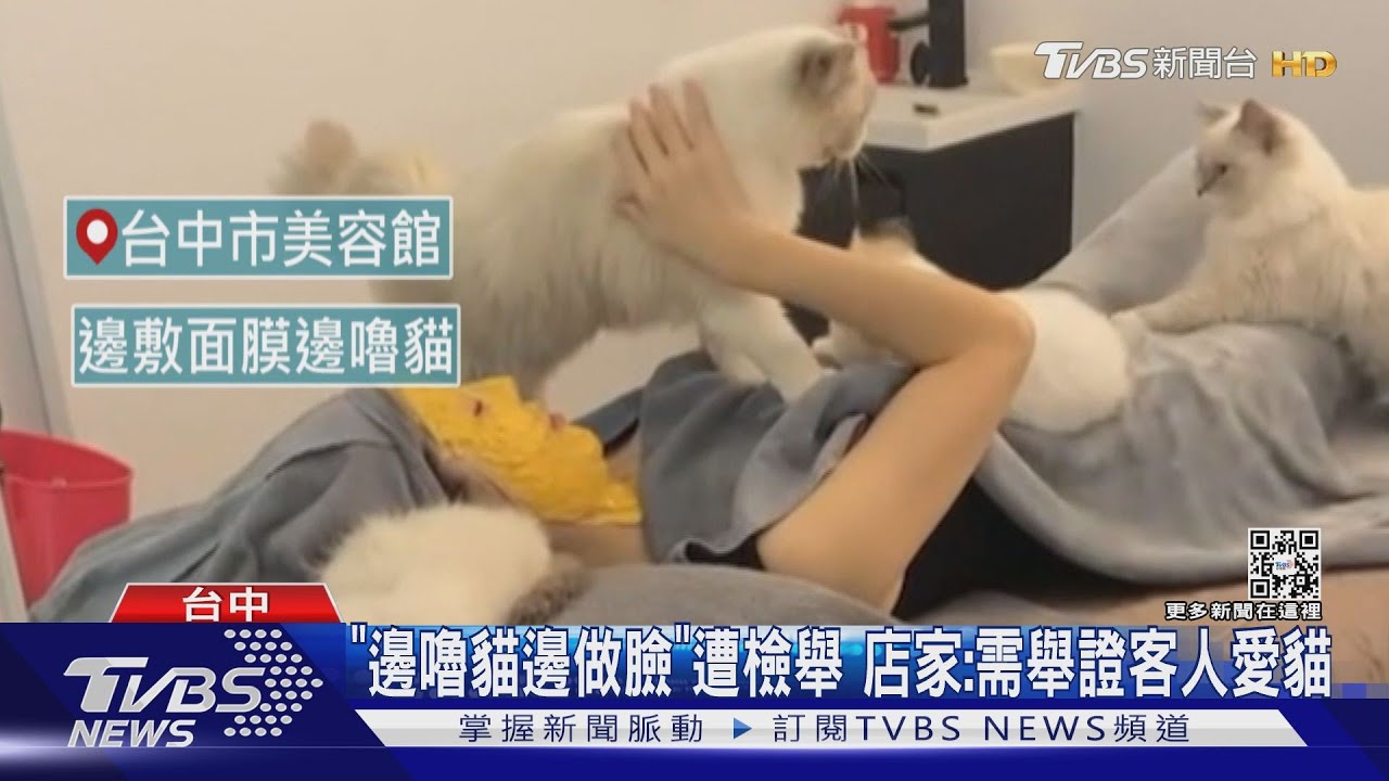 「邊嚕貓邊做臉」遭檢舉 店家:需舉證客人愛貓