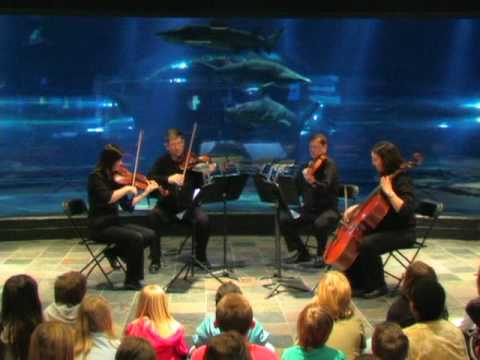 Symphony By The Sea At The Oklahoma Aquarium