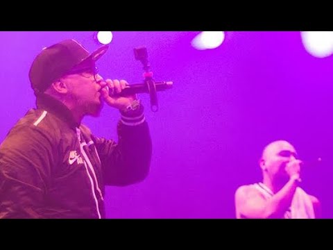 Brainpower - Recap: Live @ Lowlands 2017 (with The Partysquad)