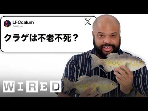 魚の研究者だけど「海洋生物」について質問ある？ | Tech Support | WIRED Japan