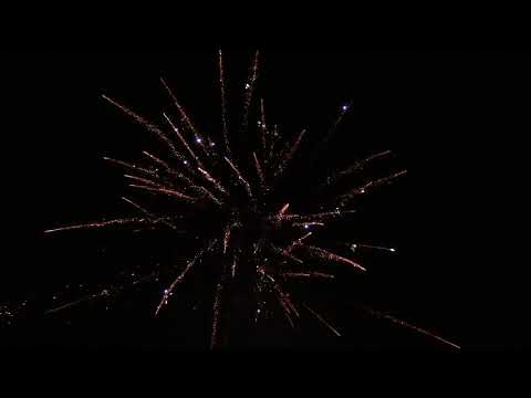 Cakebox 16Sh 30mm - "Goldcracker-Palmen" [Batch 2018]