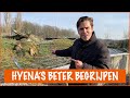 Zijn Hyena's echt gemeen? | DierenpraatTV