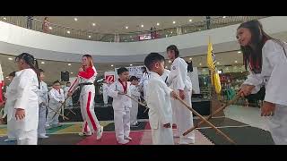 Msog program 