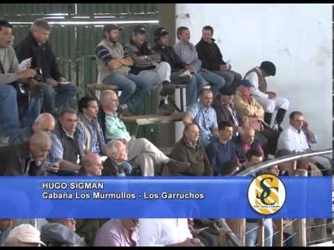 HUGO SIGMAN -  Garruchos Agropecuaria - Los Murmullos - Buena Esperanza - 30/11/2013