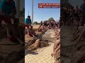 Army Training Army