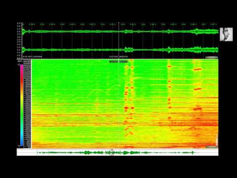 Francis Dhomont - Chroniques de la lumière -  Miroitements (1989, 2005)