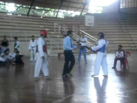 JOSE FELIX CARRILLO TAEKWONDO 2010