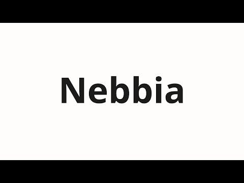 How to pronounce Nebbia