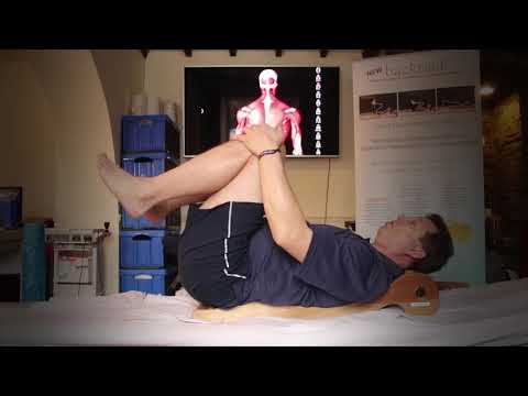 2 Exercises To Treat Lower Back Pain, Sciatica or Leg Pain