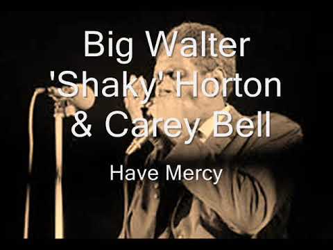 Big Walter Horton & Carey Bell-Have Mercy