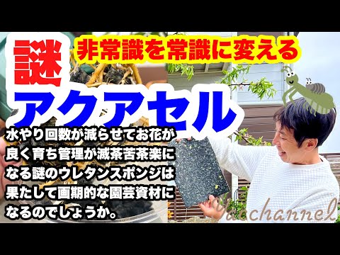 専用ソケットでのプールの接地