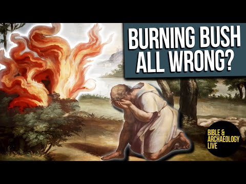 Burning Bush or Burning Mount Sinai? — Bible & Archaeology LIVE! — Apr 26, 2024