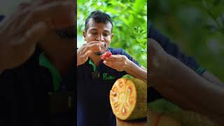 Download lagu Natural chewing gum mp3