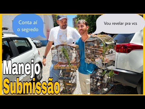 COLLAR IN HANDLING SUBMISSION HOW TO PULL IN THE TOURNAMENT WHEEL