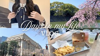 【Vlog】都内OLの日常🤍｜出社日のGRWM☀️(コーデ,コスメ紹介🪄)春のお出かけ🌸(皇居でお花見,日本橋カフェ☕️)