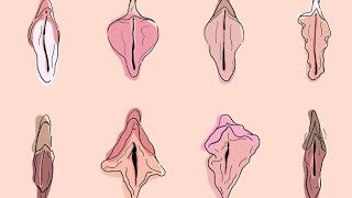fatos psicológicos interessantes sobre a vagina,que todos deveriam saber | Psicologia Feminina 2022