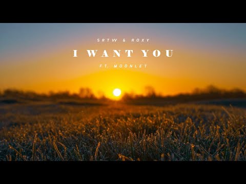 SRTW & Roxy Tones ft. Moonlet - I Want You