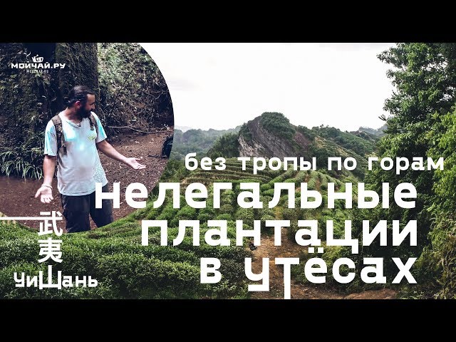 Нелегальные плантации в утёсах. Уишань. Без тропы по горам