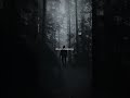 Numb Little Bug Em Beihold Lyrics Aesthetic Whatsapp Status English Songs Slowed Lyrics