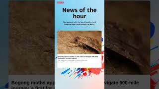 Download lagu Breaking News: Bogong moths appear to use stars to navigate 600-mile journey, a first for #bogong mp3
