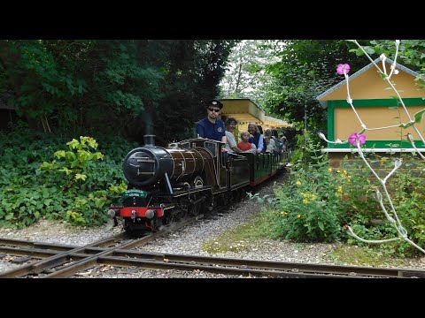 "Ernest Henry Upton's" Final Day at the South Downs Light Railway - 07/08/2024