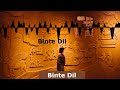 Binte Dil (Female Love-Ballad Version) | Janalynn