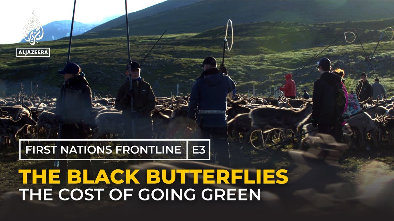 Black Butterflies: The cost of going green