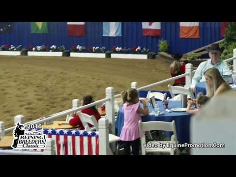 Dun Bein Wimpy ridden by Hannah Mitchell  - 2016 NRBC (NP Finals - Sec. 1)